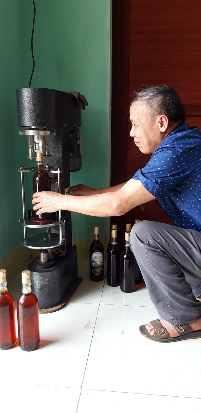 Nghề nuôi ong lấy mật ở huyện Tuyên Hóa đã mnag lại thu nhập ổn định cho người chăn nuôi